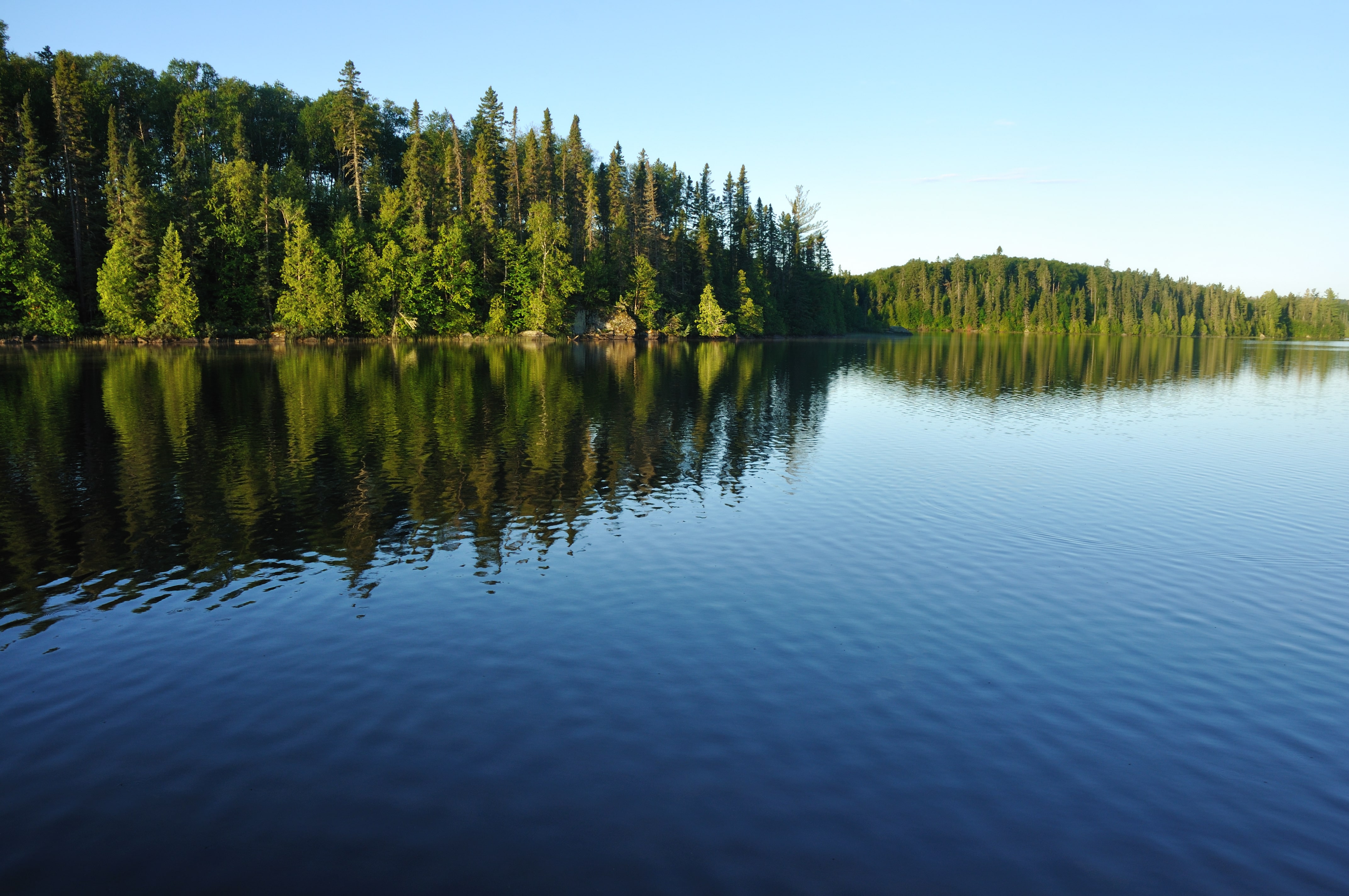 a large body of water surrounded by trees
