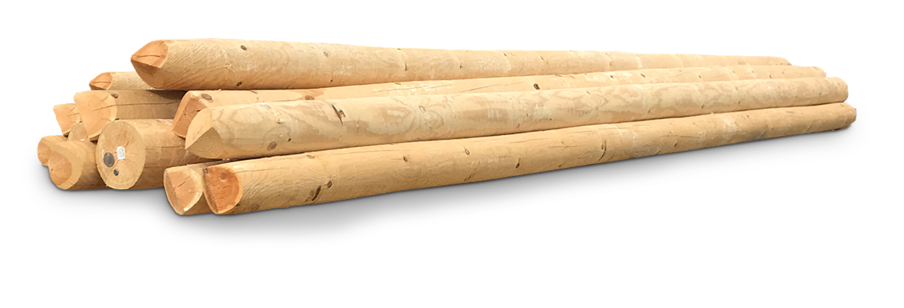 Long wood without bark